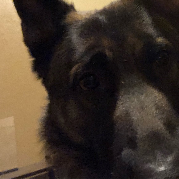 Meet your Posher, Andy - Picture 1 of 1